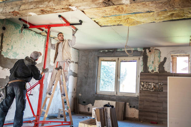 Best Insulation Removal  in USA